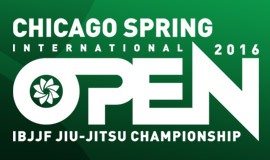 Chicago-Spring-IO-2016-Banner-Small-960x1601