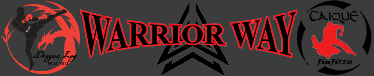 Warrior Way Martial Arts | Brazilian Jiu-Jitsu | Muay Thai – (248) 960-4884